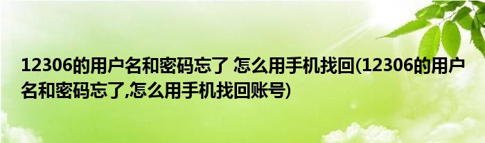 12306的用戶名和密碼忘了 怎么用手機(jī)找回(12306的用戶名和密碼忘了,怎么用手機(jī)找回賬號)