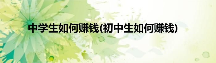 中學生如何賺錢(初中生如何賺錢)