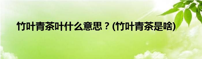 竹葉青茶葉什么意思？(竹葉青茶是啥)