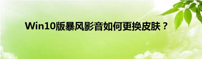 Win10版暴風(fēng)影音如何更換皮膚？