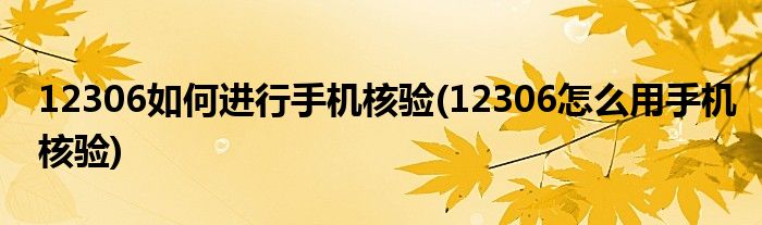12306如何進行手機核驗(12306怎么用手機核驗)