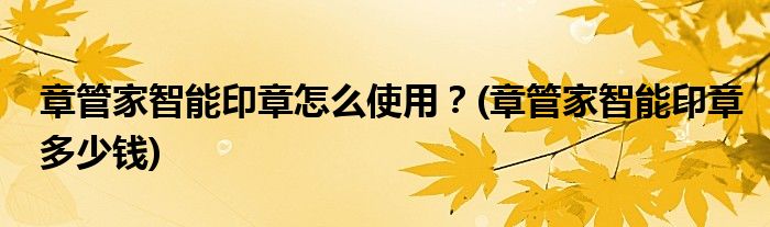 章管家智能印章怎么使用？(章管家智能印章多少錢)