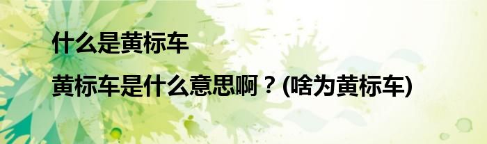 什么是黃標車|黃標車是什么意思??？(啥為黃標車)