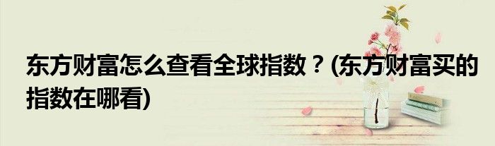 東方財富怎么查看全球指數？(東方財富買的指數在哪看)