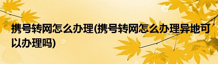 攜號轉(zhuǎn)網(wǎng)怎么辦理(攜號轉(zhuǎn)網(wǎng)怎么辦理異地可以辦理嗎)