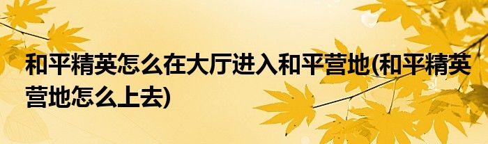 和平精英怎么在大廳進入和平營地(和平精英營地怎么上去)