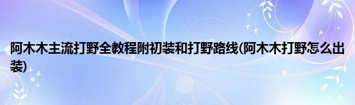 阿木木主流打野全教程附初裝和打野路線(阿木木打野怎么出裝)
