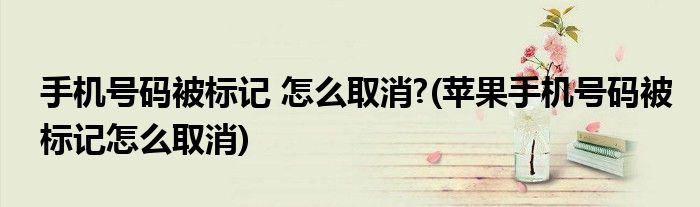 手機(jī)號碼被標(biāo)記 怎么取消?(蘋果手機(jī)號碼被標(biāo)記怎么取消)