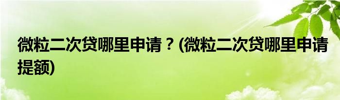 微粒二次貸哪里申請(qǐng)？(微粒二次貸哪里申請(qǐng)?zhí)犷~)
