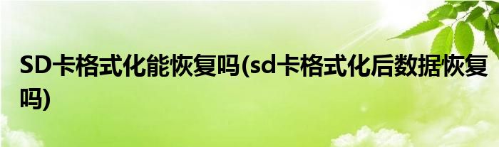 SD卡格式化能恢復(fù)嗎(sd卡格式化后數(shù)據(jù)恢復(fù)嗎)