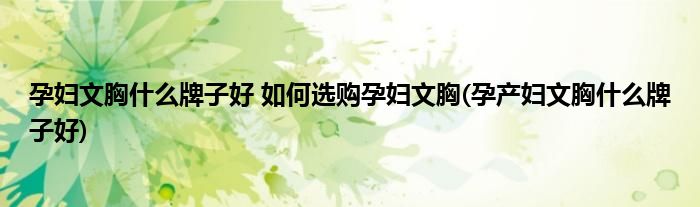 孕婦文胸什么牌子好 如何選購(gòu)孕婦文胸(孕產(chǎn)婦文胸什么牌子好)