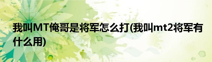 我叫MT俺哥是將軍怎么打(我叫mt2將軍有什么用)