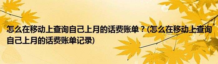 怎么在移動上查詢自己上月的話費(fèi)賬單？(怎么在移動上查詢自己上月的話費(fèi)賬單記錄)