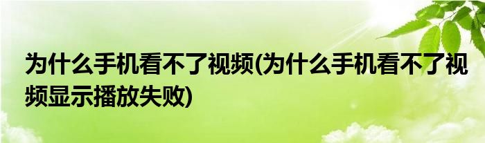 為什么手機看不了視頻(為什么手機看不了視頻顯示播放失敗)