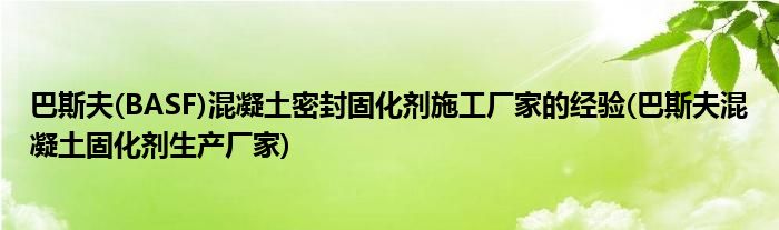 巴斯夫(BASF)混凝土密封固化劑施工廠家的經(jīng)驗(yàn)(巴斯夫混凝土固化劑生產(chǎn)廠家)