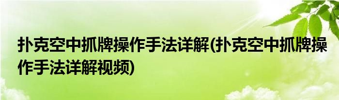 撲克空中抓牌操作手法詳解(撲克空中抓牌操作手法詳解視頻)