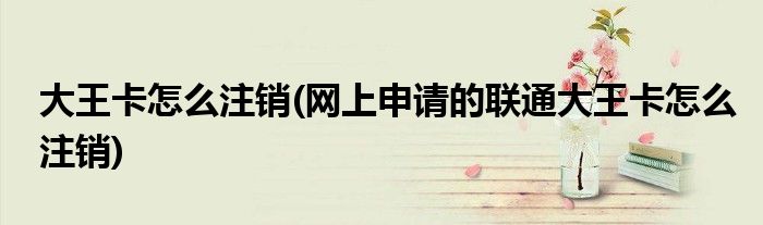大王卡怎么注銷(網(wǎng)上申請(qǐng)的聯(lián)通大王卡怎么注銷)