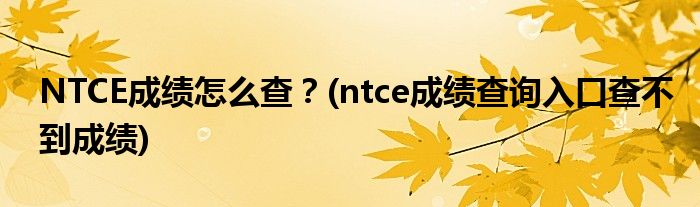 NTCE成績怎么查？(ntce成績查詢?nèi)肟诓椴坏匠煽?