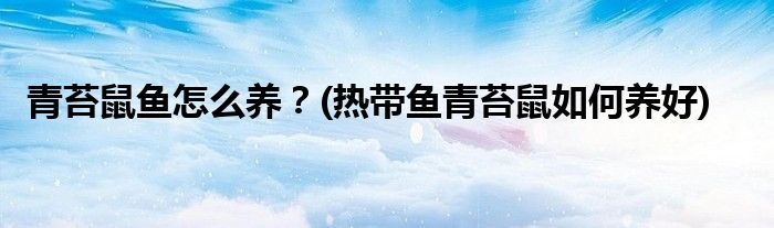 青苔鼠魚怎么養(yǎng)？(熱帶魚青苔鼠如何養(yǎng)好)