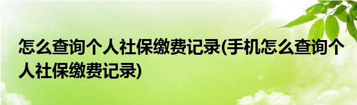 怎么查詢個(gè)人社保繳費(fèi)記錄(手機(jī)怎么查詢個(gè)人社保繳費(fèi)記錄)