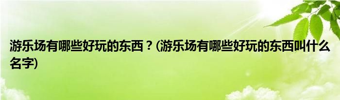 游樂場有哪些好玩的東西？(游樂場有哪些好玩的東西叫什么名字)
