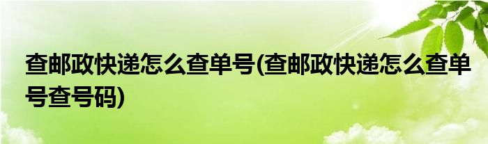 查郵政快遞怎么查單號(查郵政快遞怎么查單號查號碼)
