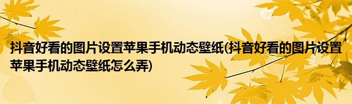 抖音好看的圖片設(shè)置蘋果手機(jī)動態(tài)壁紙(抖音好看的圖片設(shè)置蘋果手機(jī)動態(tài)壁紙?jiān)趺磁?