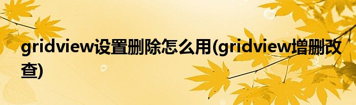 gridview設置刪除怎么用(gridview增刪改查)