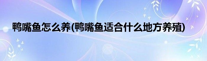 鴨嘴魚怎么養(yǎng)(鴨嘴魚適合什么地方養(yǎng)殖)