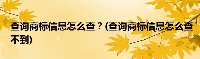 查詢商標(biāo)信息怎么查？(查詢商標(biāo)信息怎么查不到)