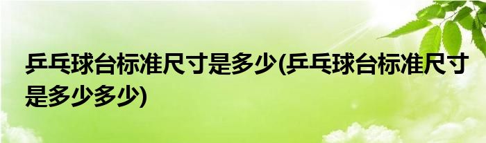 乒乓球臺標(biāo)準(zhǔn)尺寸是多少(乒乓球臺標(biāo)準(zhǔn)尺寸是多少多少)