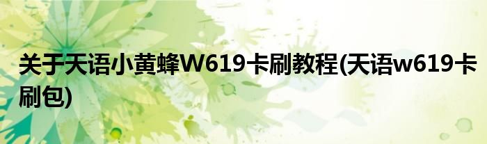 關(guān)于天語(yǔ)小黃蜂W619卡刷教程(天語(yǔ)w619卡刷包)