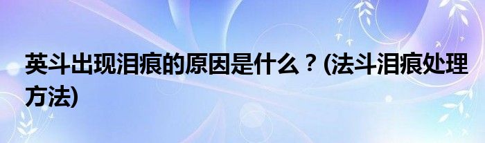 英斗出現(xiàn)淚痕的原因是什么？(法斗淚痕處理方法)
