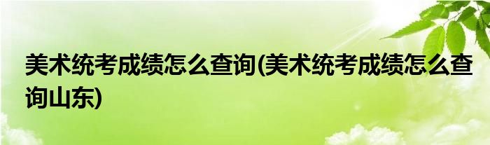 美術(shù)統(tǒng)考成績(jī)?cè)趺床樵?美術(shù)統(tǒng)考成績(jī)?cè)趺床樵兩綎|)