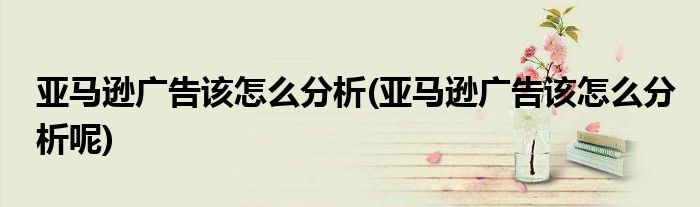 亞馬遜廣告該怎么分析(亞馬遜廣告該怎么分析呢)