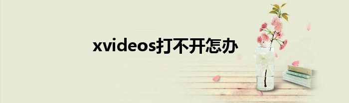 xvideos打不開怎辦