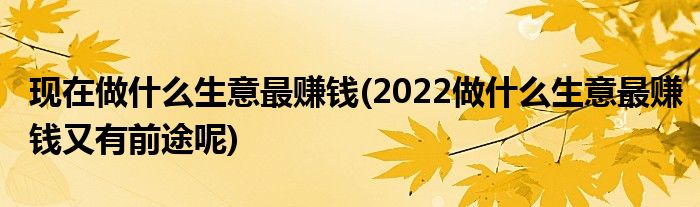 現(xiàn)在做什么生意最賺錢(2022做什么生意最賺錢又有前途呢)