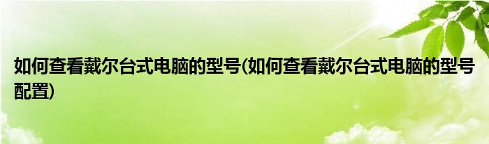如何查看戴爾臺式電腦的型號(如何查看戴爾臺式電腦的型號配置)