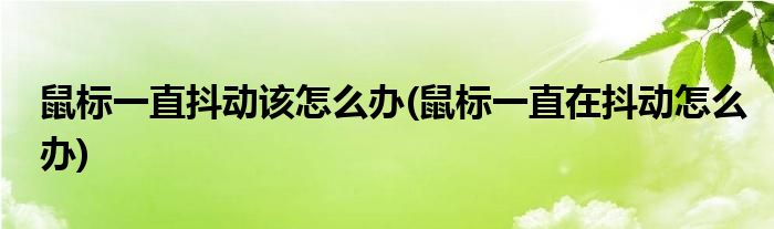 鼠標(biāo)一直抖動(dòng)該怎么辦(鼠標(biāo)一直在抖動(dòng)怎么辦)