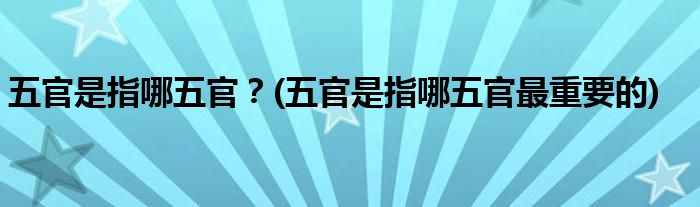 五官是指哪五官？(五官是指哪五官最重要的)