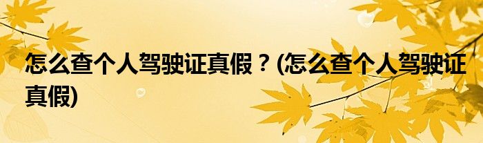 怎么查個人駕駛證真假？(怎么查個人駕駛證真假)