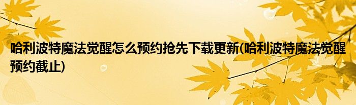 哈利波特魔法覺醒怎么預(yù)約搶先下載更新(哈利波特魔法覺醒預(yù)約截止)
