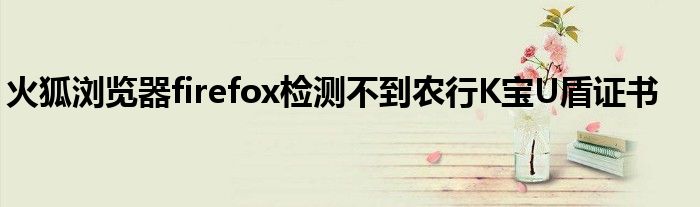 火狐瀏覽器firefox檢測(cè)不到農(nóng)行K寶U盾證書