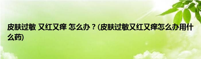 皮膚過敏 又紅又癢 怎么辦？(皮膚過敏又紅又癢怎么辦用什么藥)