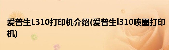 愛普生L310打印機(jī)介紹(愛普生l310噴墨打印機(jī))