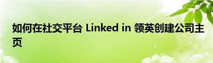 如何在社交平臺 Linked in 領(lǐng)英創(chuàng)建公司主頁