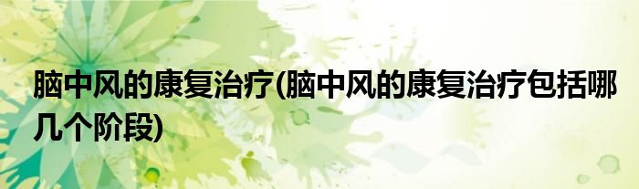 腦中風(fēng)的康復(fù)治療(腦中風(fēng)的康復(fù)治療包括哪幾個階段)