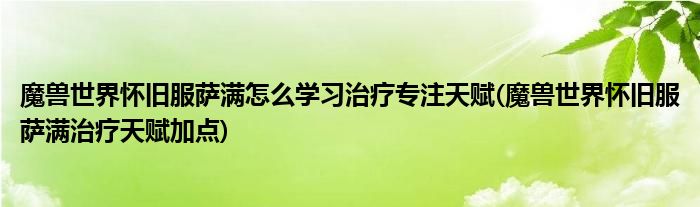 魔獸世界懷舊服薩滿怎么學(xué)習(xí)治療專注天賦(魔獸世界懷舊服薩滿治療天賦加點(diǎn))