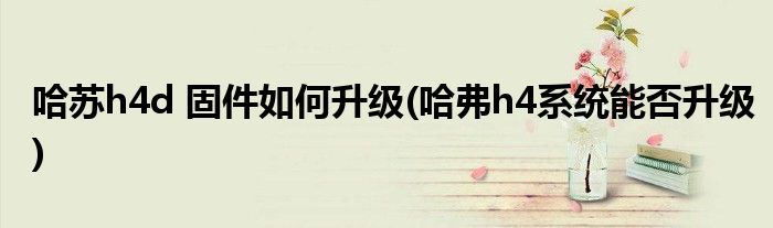 哈蘇h4d 固件如何升級(jí)(哈弗h4系統(tǒng)能否升級(jí))