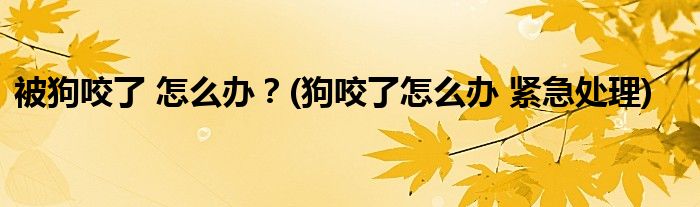 被狗咬了 怎么辦？(狗咬了怎么辦 緊急處理)